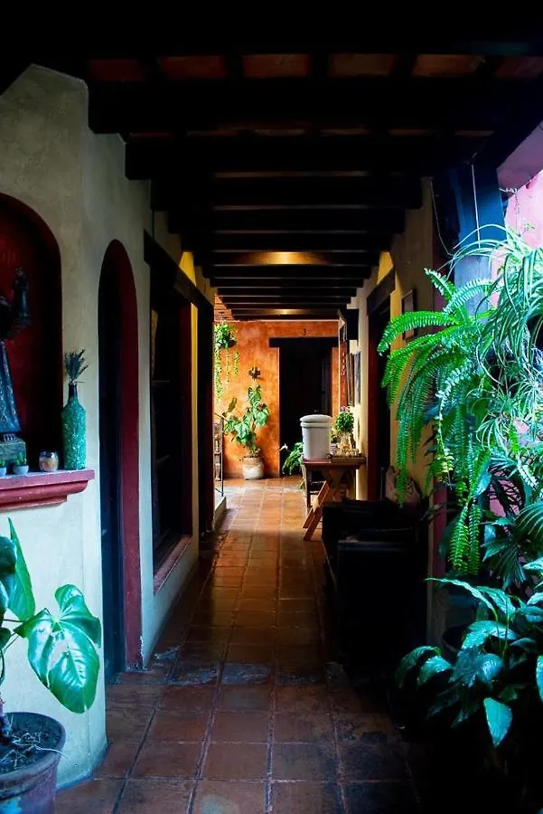 Bed & Breakfast La Villa Antigua